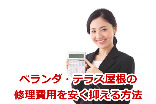 �x�����_�E�e���X�����̏C����p�������}������@