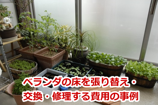 �x�����_�̏��𒣂�ւ��E�����E�C�������p�̎���