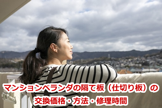 �}���V�����x�����_�̊u�Ĕi�d�؂�j�̌������i�E���@�E�C������